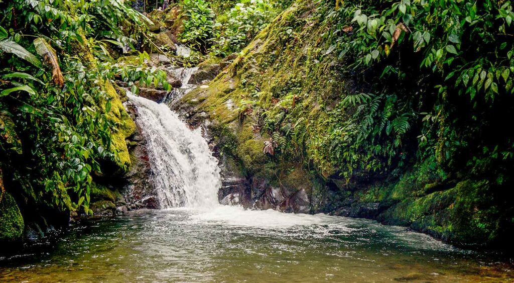Rio Mindo Ecuador 6